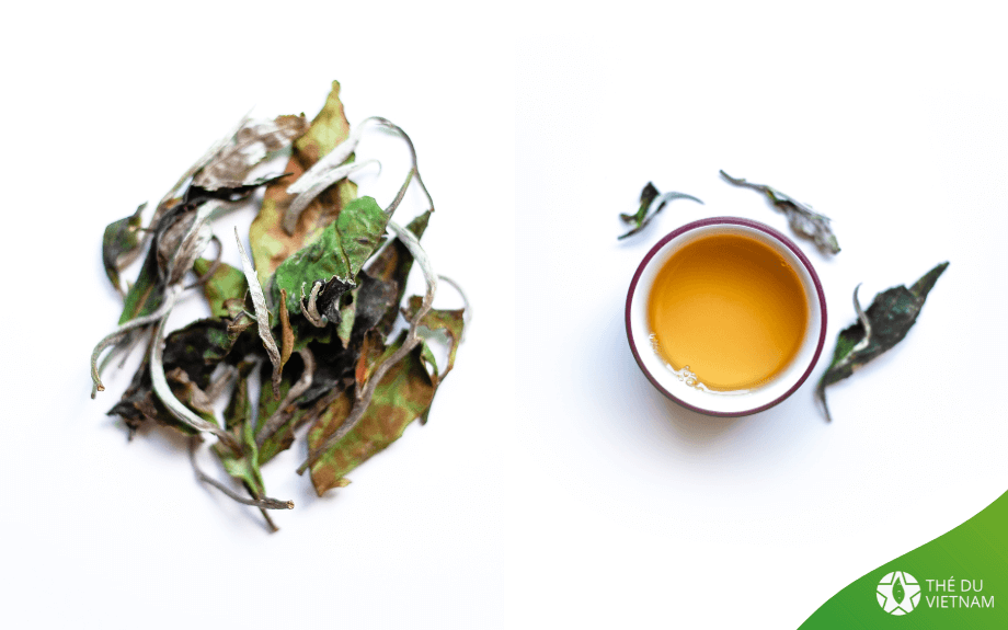 Un de nos Thés Blancs Sauvages PAI MU TAN !