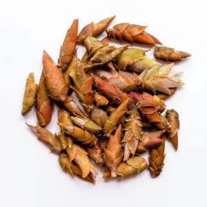 Thé Blanc MÓNG RỒNG