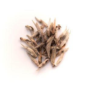 Le Thé Blanc Sauvage Impérial Trà Tiên Cueillette 2024 est composé de bourgeons de thé très rare provenant de Chiêu Lầu Thi, une des plus haute montage de la province de Hà Giang à l’extrême Nord du Vietnam